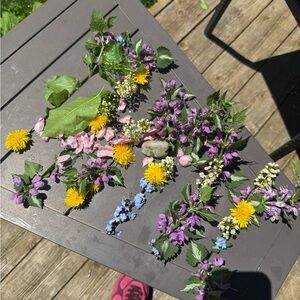 Meet your Posher, Dina